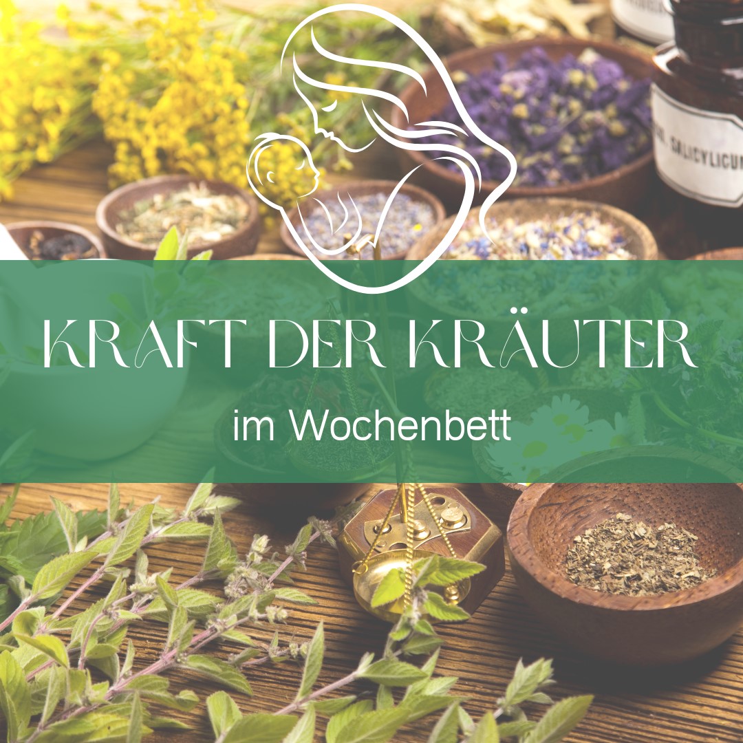 Kraft der Kräuter im Wochenbett